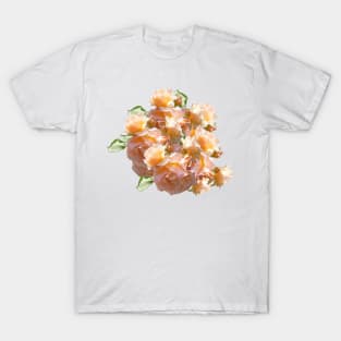 Roses - Magpie Springs - Adelaide Hills Wine Region - Fleurieu Peninsula - South Australia T-Shirt